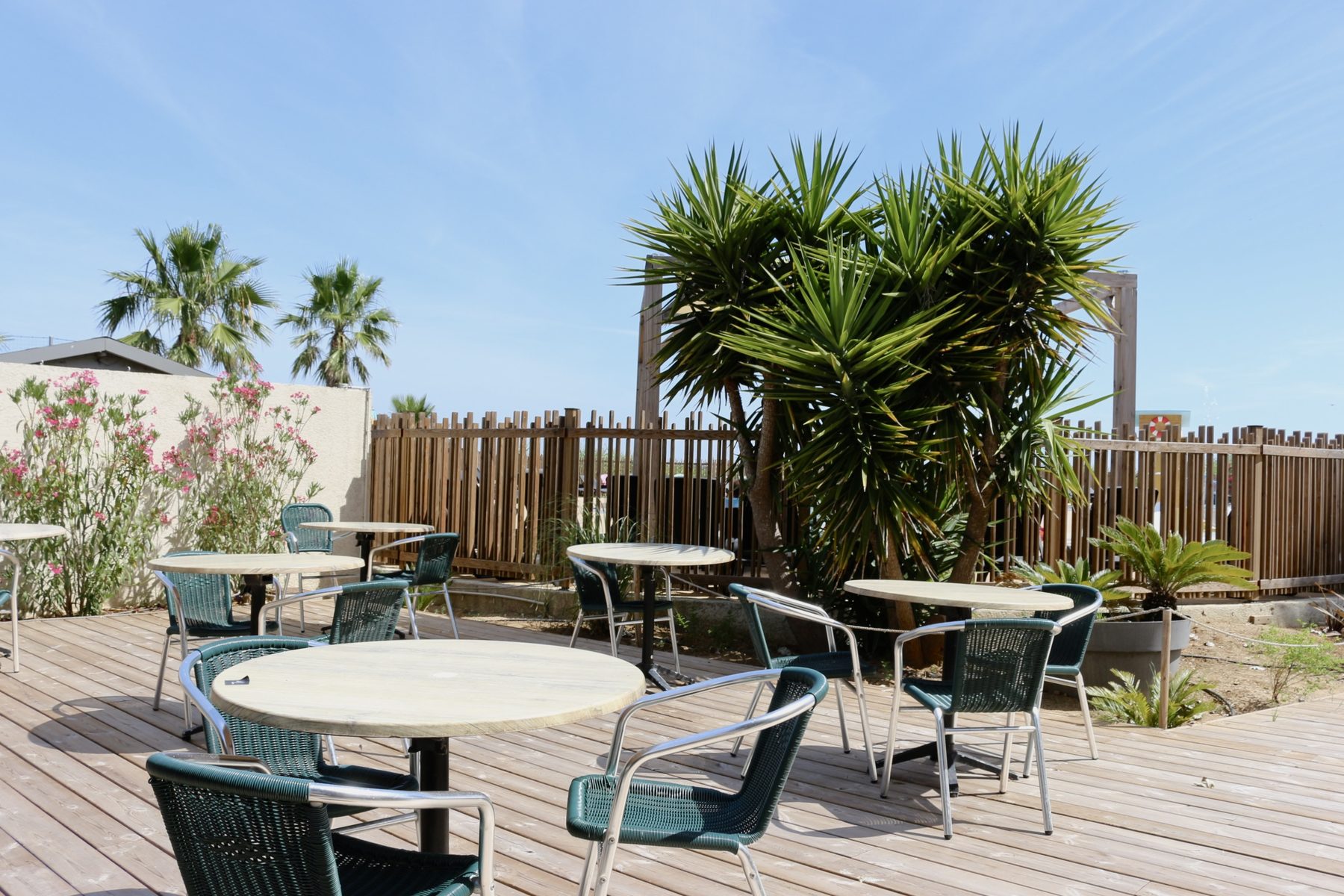Grande terrasse en bois du restaurant avec palmier