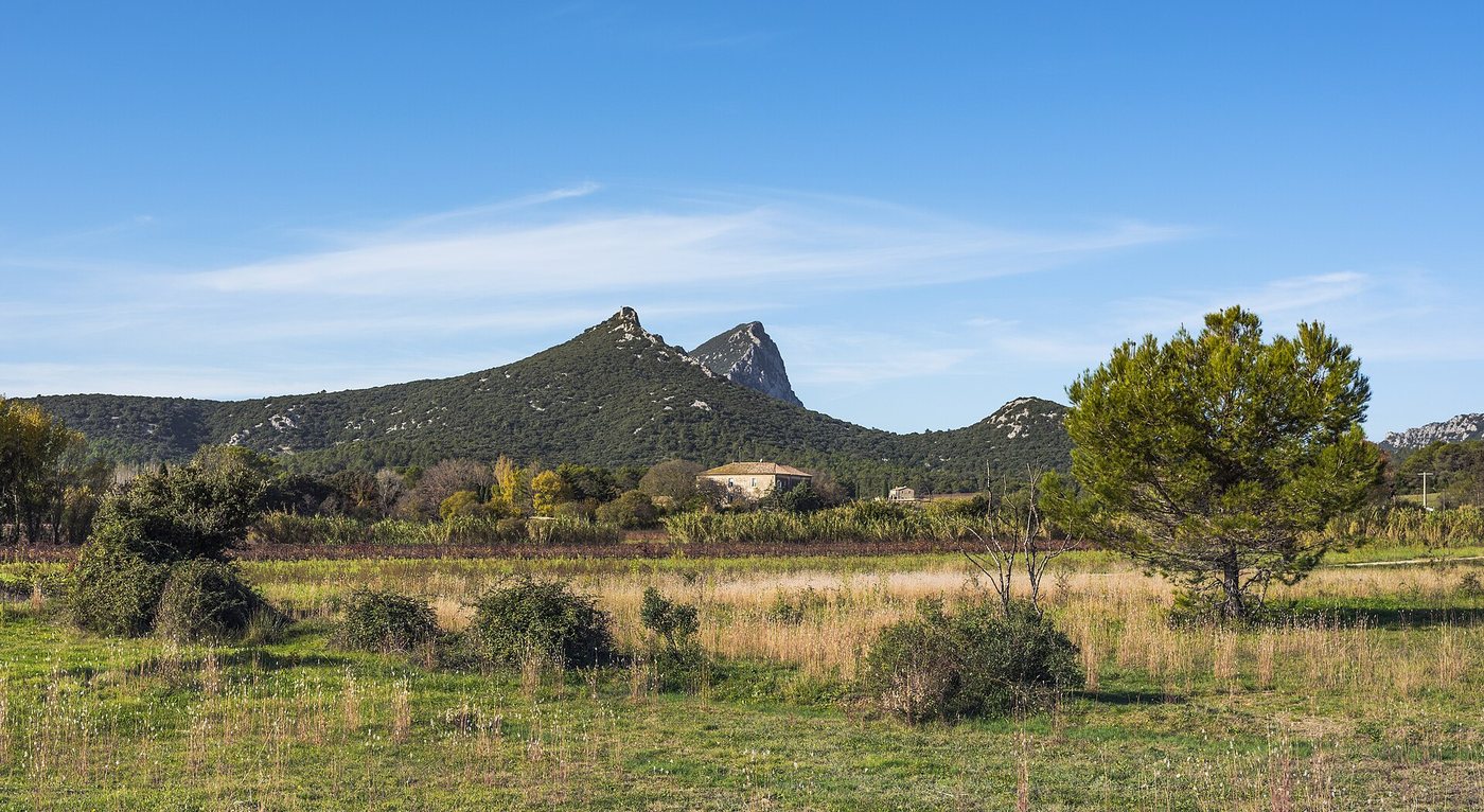 Le Pic Saint-Loup vu depuis Saint-Mathieu-de-Tréviers