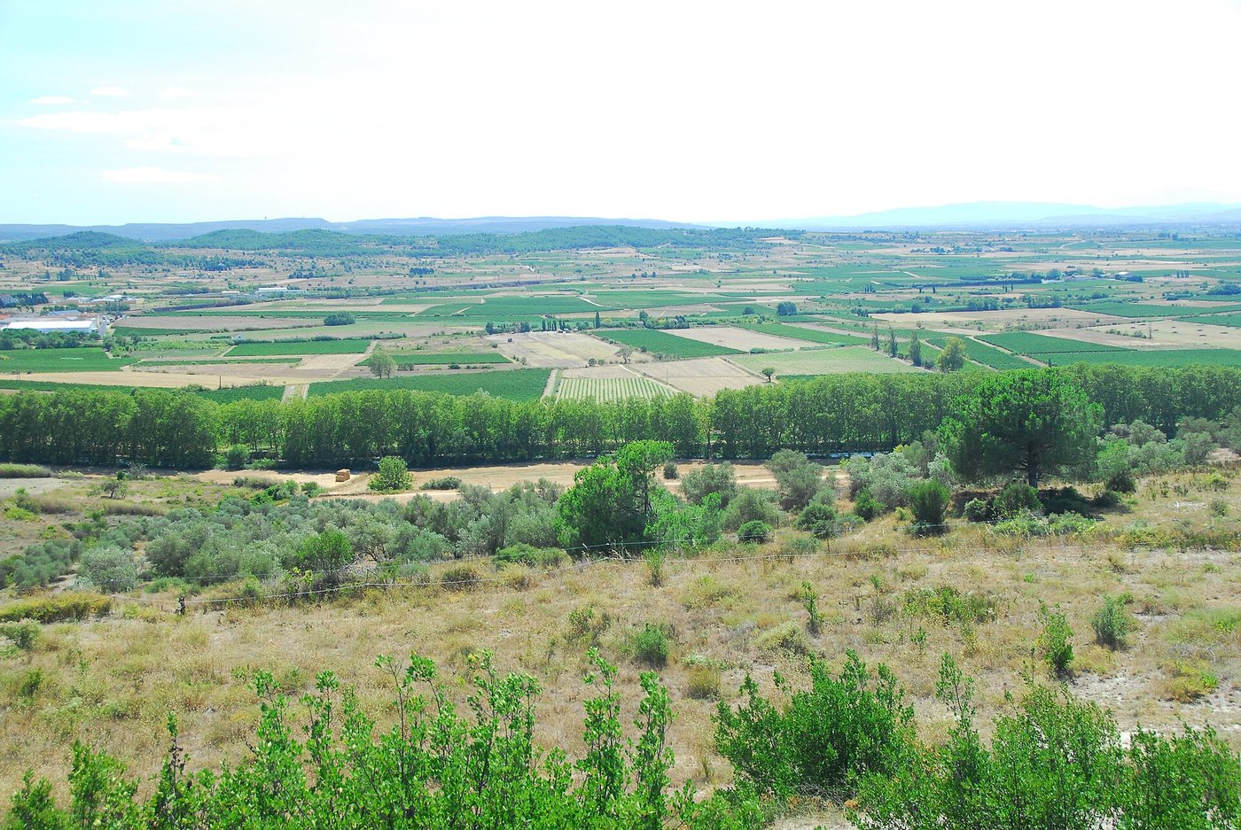 La plaine viticole vue depuis la colline d'Ensérune