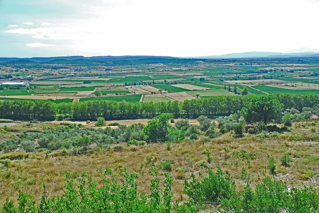 L'oppidum d'Ensérune