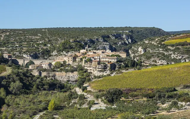 Minerve