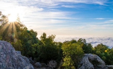 Le Pic Saint Loup
