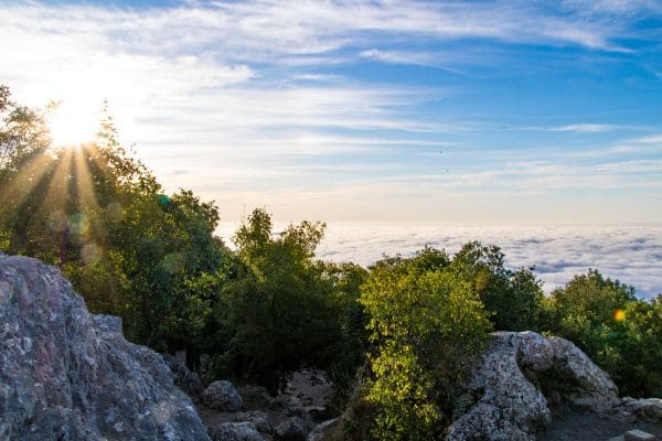 Le Pic Saint Loup