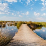 Etangs autour de Palavas Les Flots