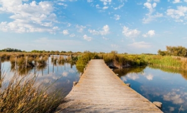 Etangs autour de Palavas Les Flots