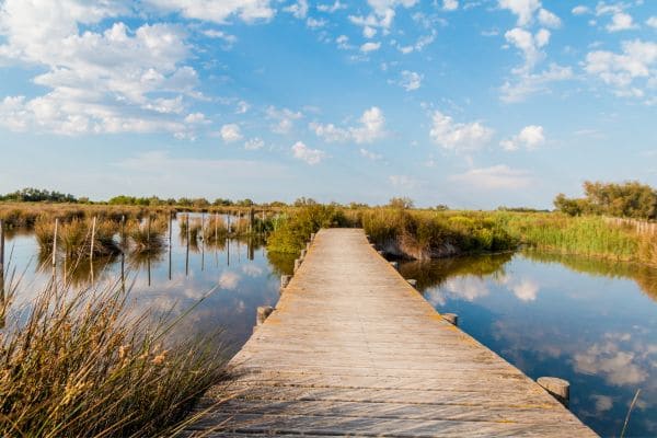 Etangs autour de Palavas Les Flots