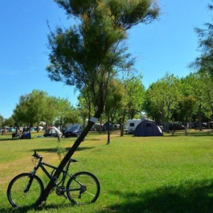 emplacement semi ombragé camping montpellier plage