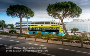ligne bus palavas perols (1)